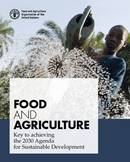 Food and agriculture: key to achieving the 2030 Agenda for Sustainable Development